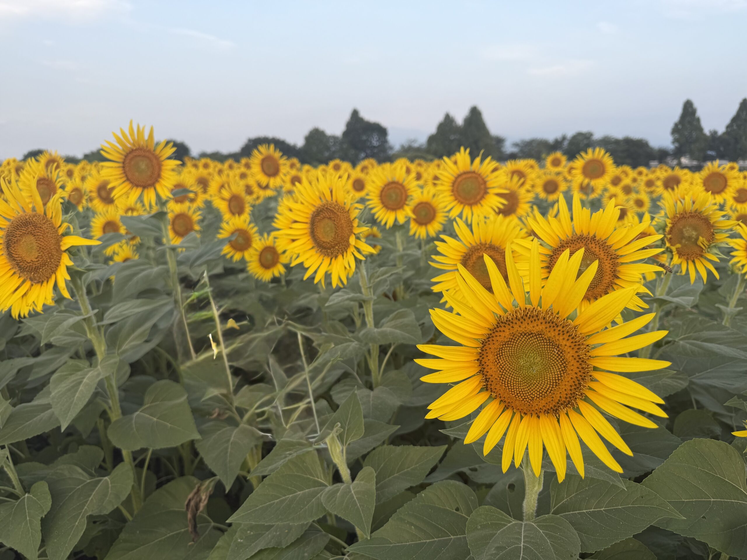 夏でも快適♪ 涼しい完全個室★【町田相模大野　横浜　東京蒲田】…